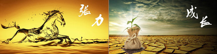 企業(yè)發(fā)展要學(xué)會(huì)取他人之長(zhǎng)、補(bǔ)自己之短 企業(yè)發(fā)展要學(xué)會(huì)取他人之長(zhǎng)、補(bǔ)自己之短